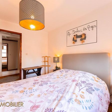 Au Bonheur Des Anges Appartement 2 Chambres Avec Terrasse コルマール エクステリア 写真